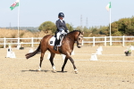 SBM_017319