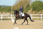 SBM_000664