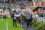 270724-Race 4-Greydreambeliever-7182