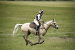 BVHT 140517  NXC -198