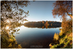 Hillsborough Lake (IMG0693)