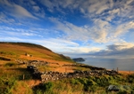 Eary Cushlin