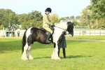 SBM_68962