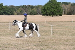 WJ6_8837