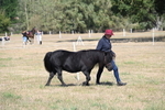 WJ6_4388