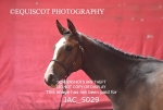 JAC_5029