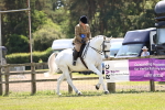 SBM_16192