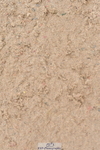 230511A-154650-01244