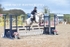 BPP_3077