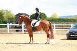 SBM_000541
