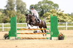 SBM_003947