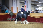 SBM_14881