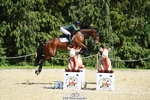 469-WELLFIELDS_LINCOLN-Susie_Berry-SJ portfolio