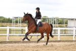 SBM_026979