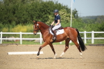 SBM_008031