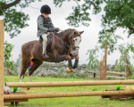 Dunblane show-33