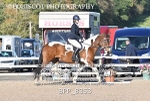 BPP_8353