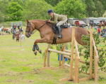 Dunblane show-654