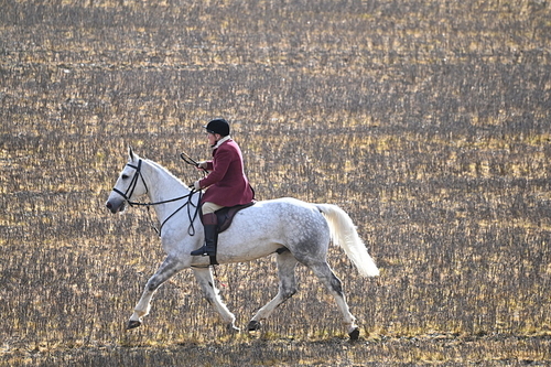 WJ6_8597