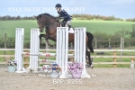 BPP_8255