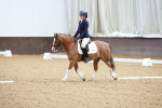SBM_001234