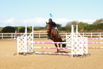 SBM_000331