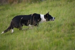 Glen & Sky portfolio