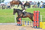 Seavington PC Showjumping Sunday 18th June = Click to View Photos portfolio