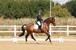 SBM_000554