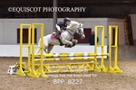 BPP_8227