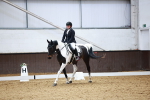 SBM_000229