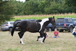 WJ6_5651