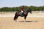 SBM_005653