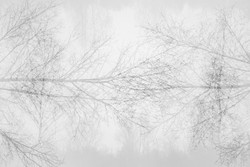 Tactility