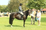 SBM_66639