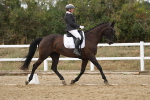 SBM_011960