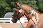 260715-123340-00262