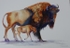 Mama Bison
