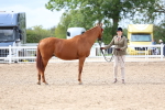 SBM_04465