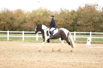 SBM_000737