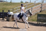 Cls 2 Small Pony Team portfolio