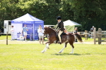 SBM_15529