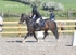 BPP_8896