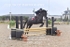 BPP_2535