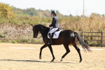 SBM_010549
