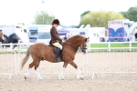 SBM_15754