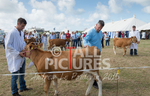 West Show_2014-10