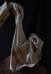 Sculpture of Hands.