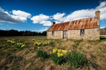 Newton of Mulloch