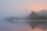 Pink Sunrise